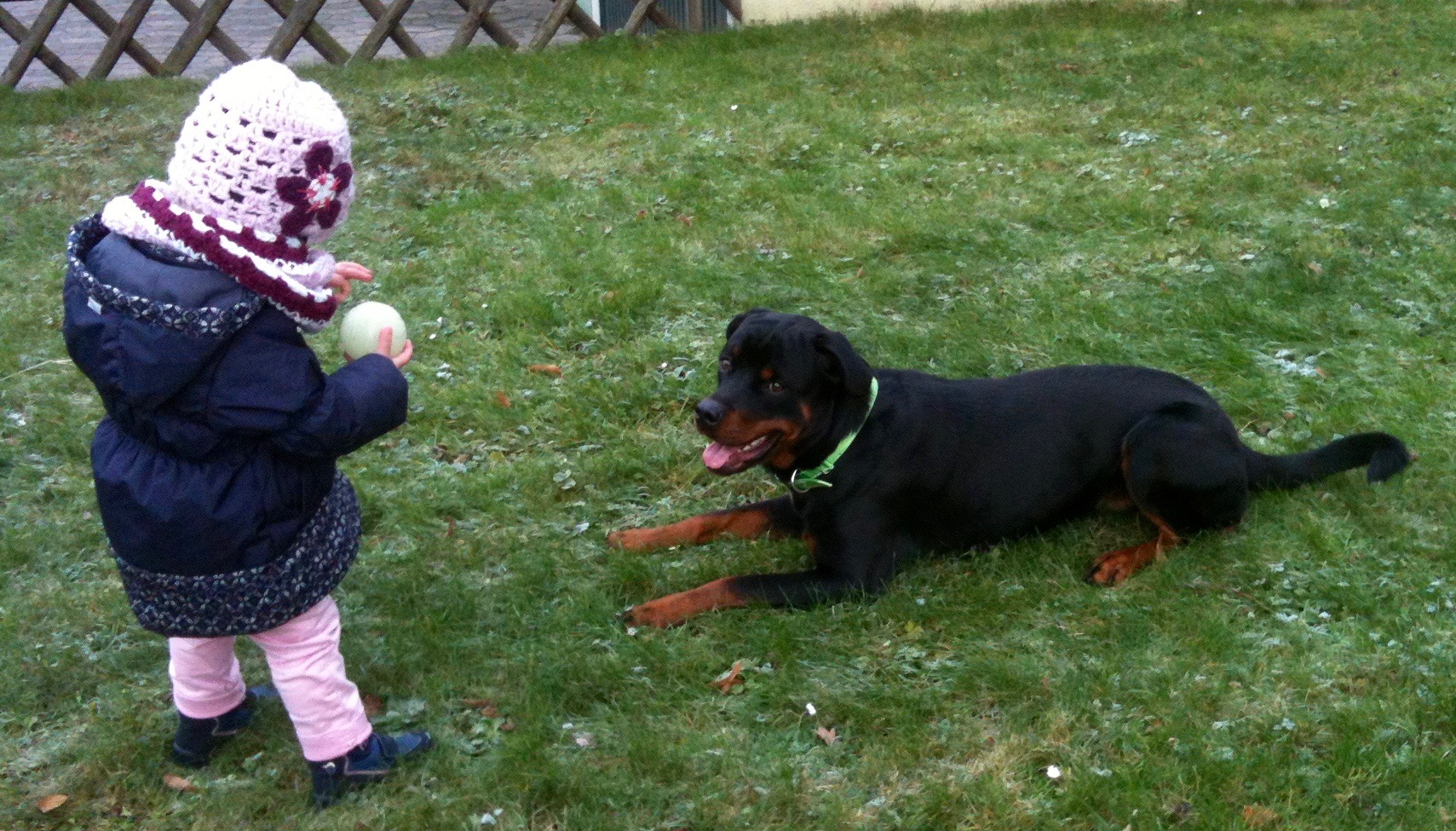 Fuhren mit Hund.jpg